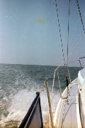 Westra, 1980