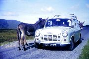 Car in Ireland, 1965