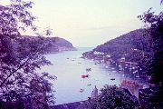 Dartmouth 1982