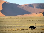 Sossuvlei