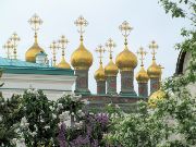 Church of the Nativity, 2013