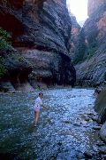 Zion Canyon, 1985