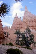 Bryce Canyon 1985