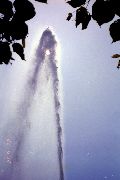 Linderhof Fountain, 1992