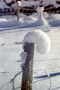 Snow in Garmisch 1995