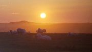 Dartmoor Sunset, 1998