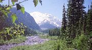 Federation Park, Mount Rainier, 2001