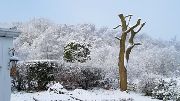 January Snow in the Garden