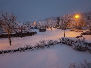 Berne Avenue in early morning snow