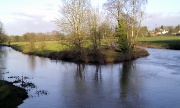 The Trent and the Sow